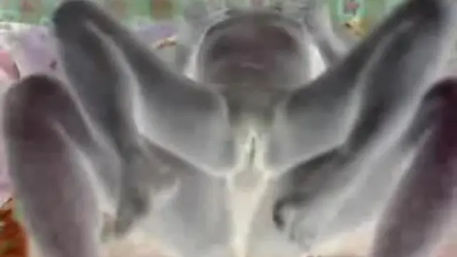 Raw &mdash;  rough &mdash;  and real nasty &mdash;  brutal banging of these eager hard-sex couple