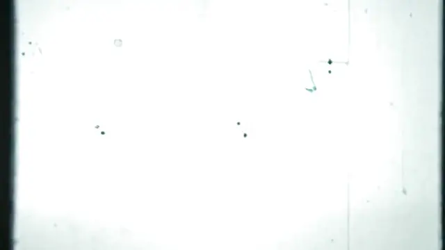 Passionate Intense Anal - Starring Avery Jane & Nathan Bronson -ForPlay Films