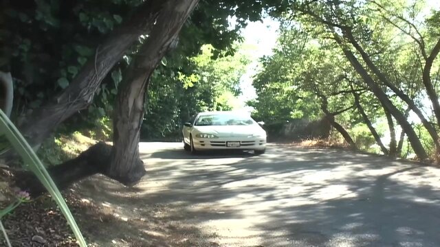 Busty Brunette Enjoys a Massive Black Cock- Titopia